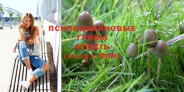 прущие крисы Баксан