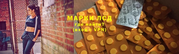 крисы Аркадак