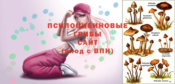 прущие крисы Баксан