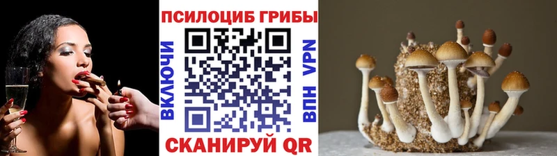 Галлюциногенные грибы GOLDEN TEACHER наркошоп Полысаево